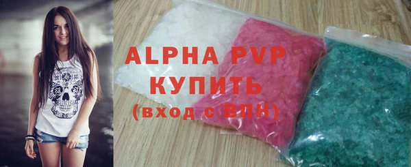 молекула духа Богородицк