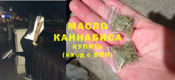 молекула духа Богородицк
