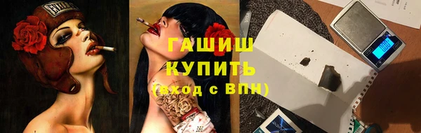 молекула духа Богородицк