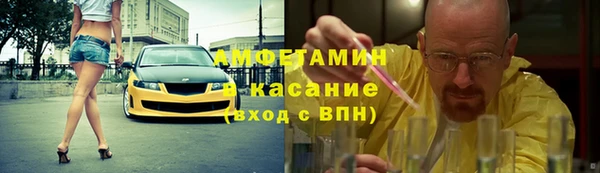 молекула духа Богородицк