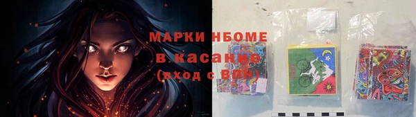 молекула духа Богородицк