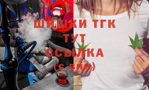 молекула духа Богородицк