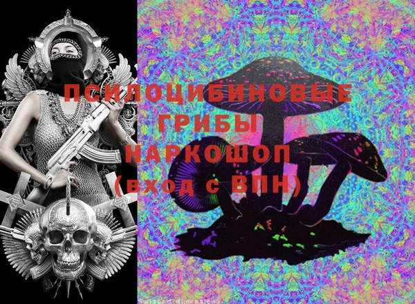 молекула духа Богородицк