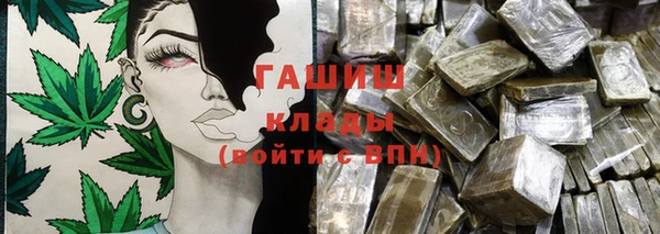 молекула духа Богородицк