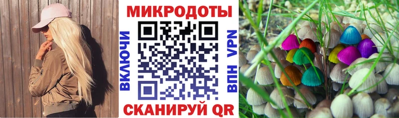 маркетплейс телеграм  где можно купить   Эртиль  Псилоцибиновые грибы Magic Shrooms  ОМГ ОМГ зеркало 