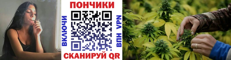 Бошки Шишки план Эртиль